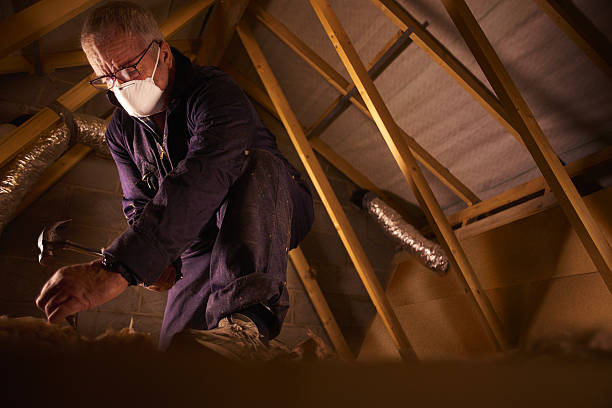 Best Specialty Insulation in Mount Vernon, AL